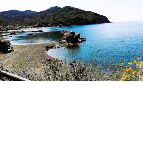 OASI FELICE