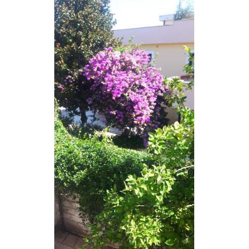Oasi nel verde