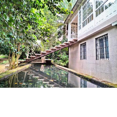 Oasis en Ponte San Lázaro