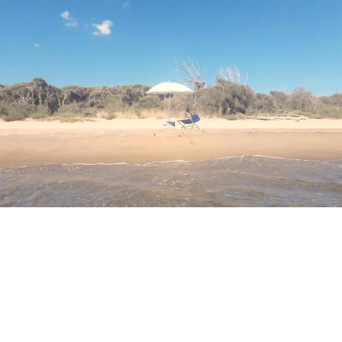 OASIS ESCAPE