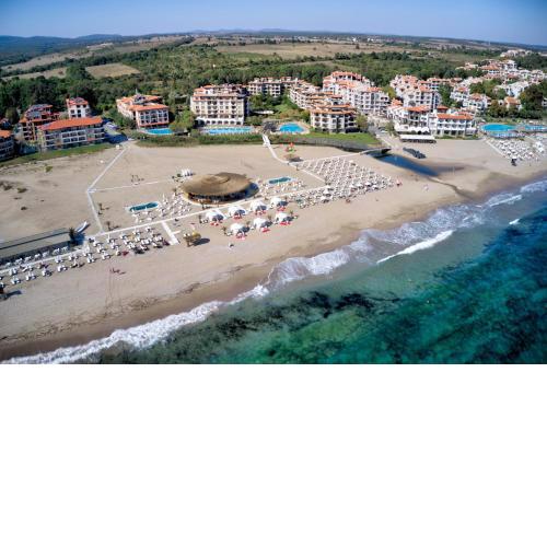 Oasis Luxury Apartments