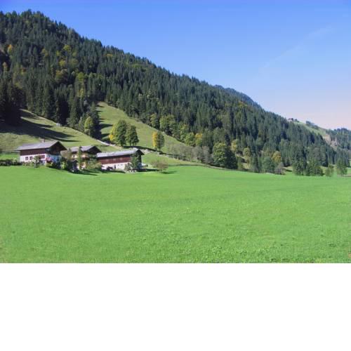 Oberauhof