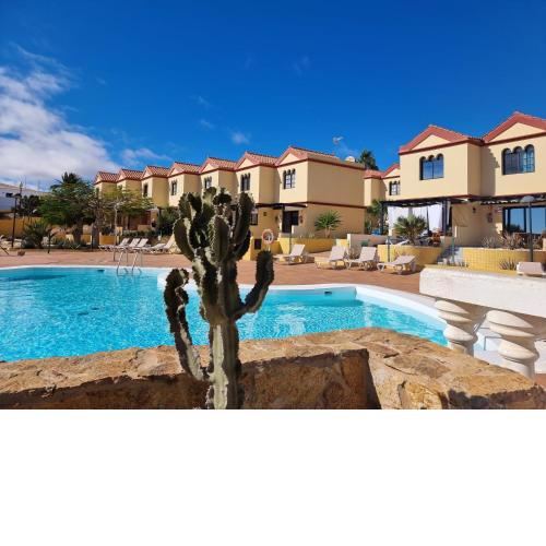 Ocean Forty C Apt. Green Oasis Costa Calma FUE