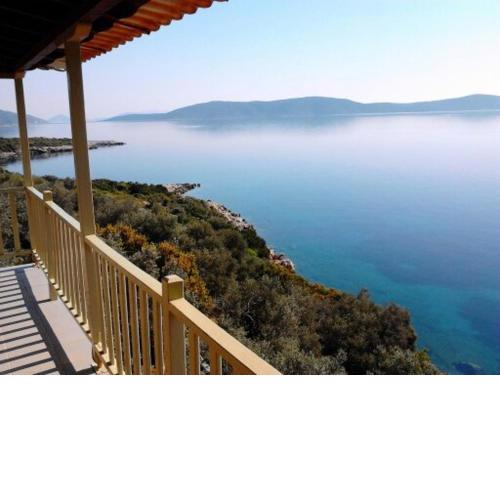 Odyssia near the Seaside