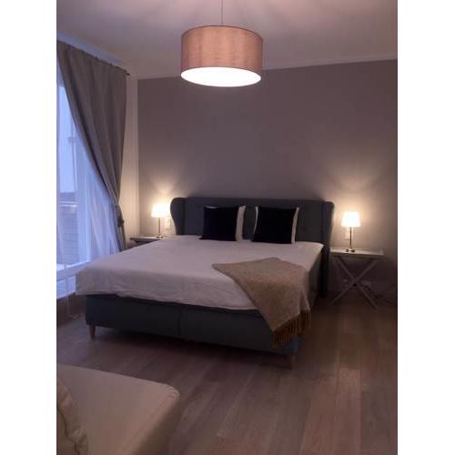 Old Town Apartment Jungmannova
