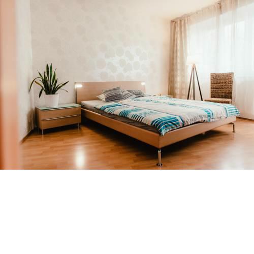 Old Town Apartment Pellicova