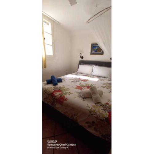 Oleander room 1