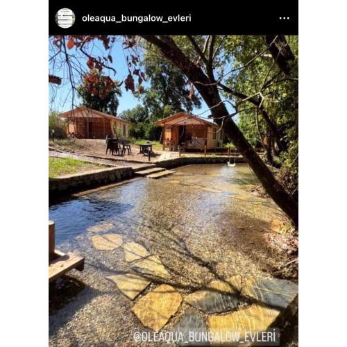 Oleaqua Bungalow Holiday Village & Caravan Park