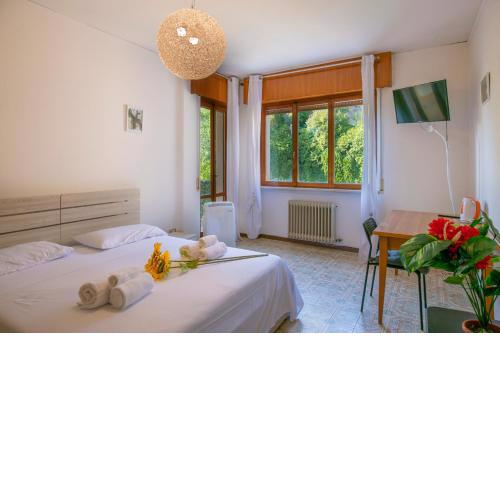 Olga's Rooms