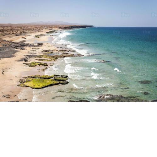 Oliastur Cotillo Apartament