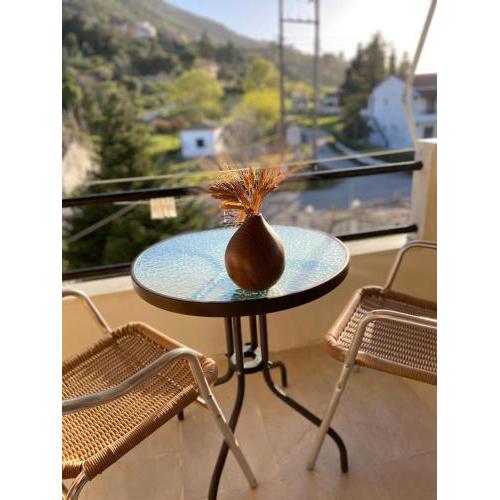 Olive apartment with mountain view&private parking