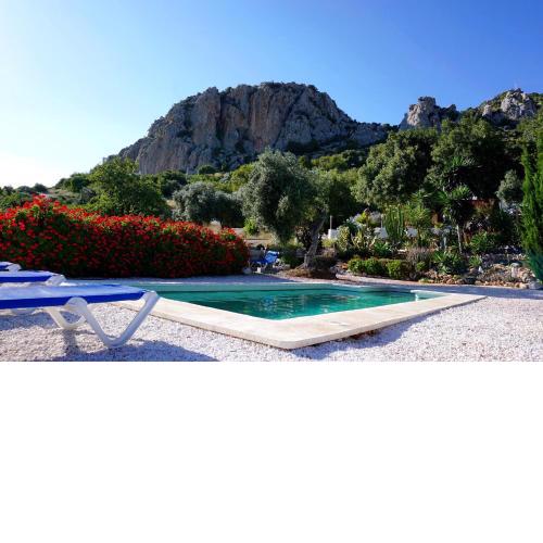 Olive Branch El Chorro