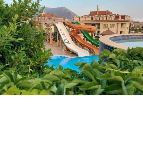 Olive City Alanya!