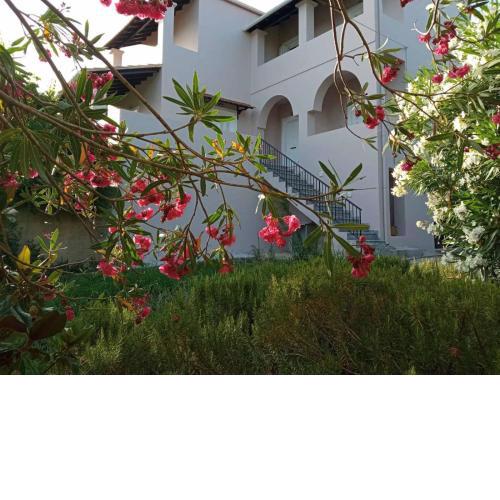 Olive Hill House