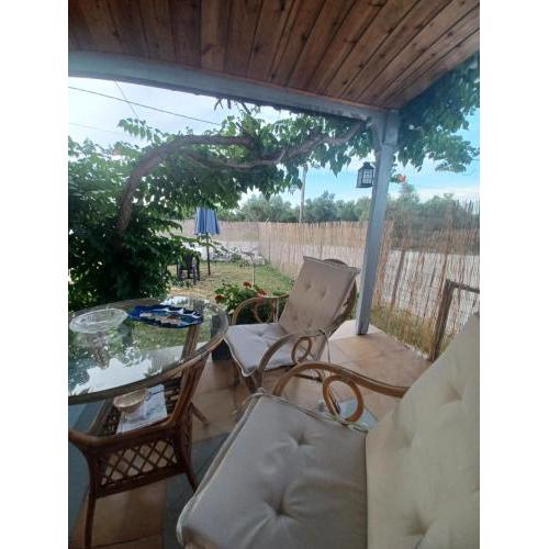 Olive holiday home
