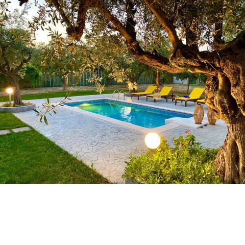Olive Sense Villa