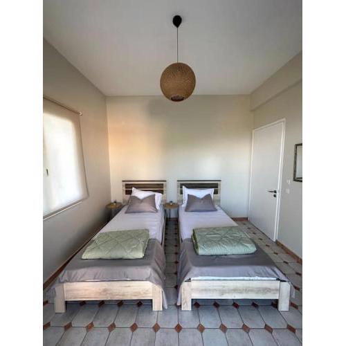 Olive tree apartments Benitses