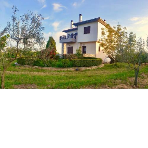Olive View Cottage in Pelion