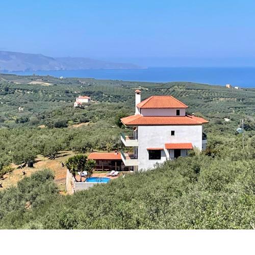 Olive Villa