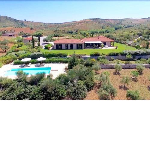 Olives Grove villa