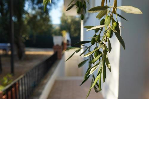Olive&Sea Villa-SEA