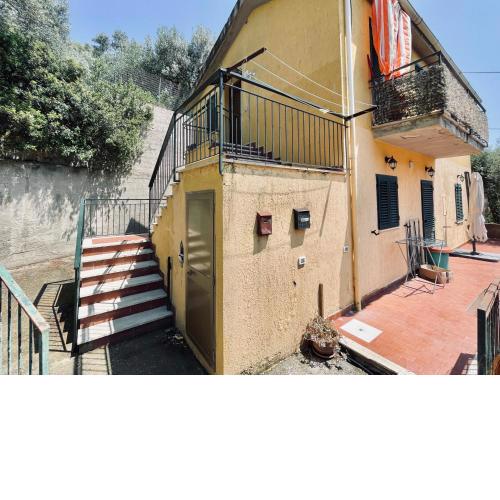 Oliveto 8