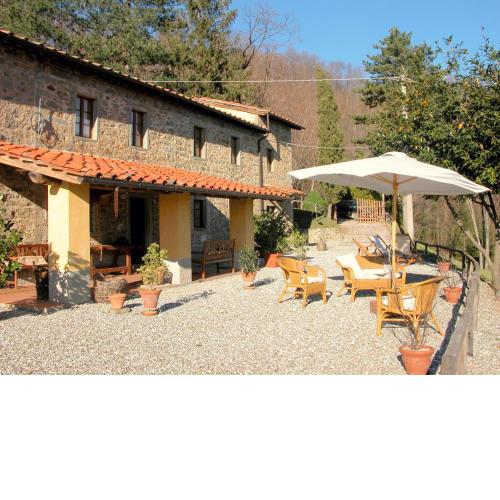 Olivi - Tutto