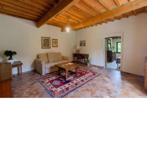 Olivo- Nuovo appartamento con piscina e giardino