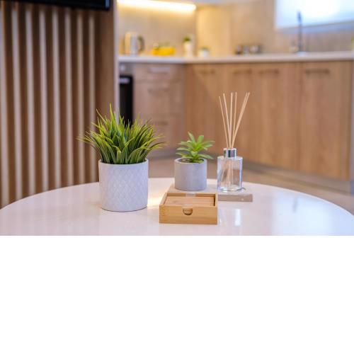 Olivo Home