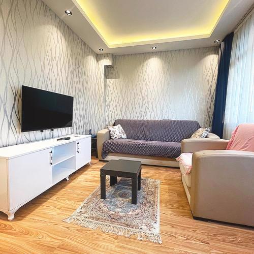 One bedroom apartment close to Taksim square5