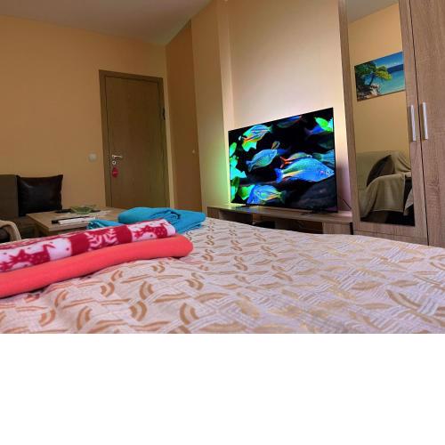 One bedroom apartment near downtown