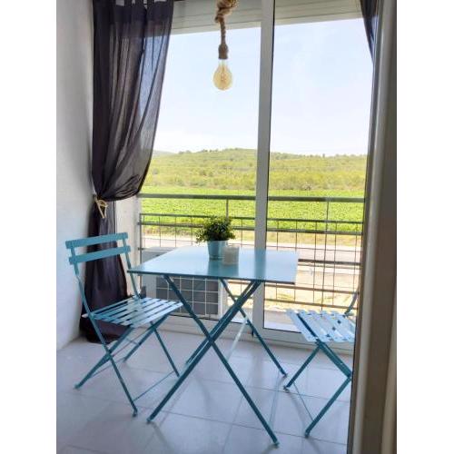 One bedroom appartement at Francas 200 m away from the beach