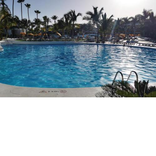 One bedroom appartement at Playa de la Americas 500 m away from the beach with shared pool enclosed garden and wifi