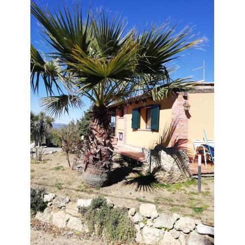 One bedroom appartement with city view enclosed garden and wifi at Caltanissetta