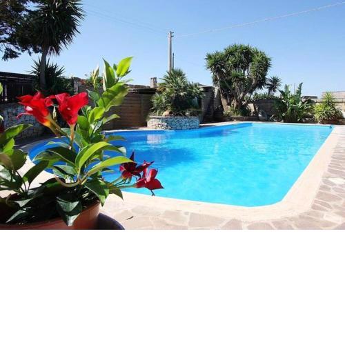 One bedroom appartement with shared pool garden and wifi at Castrignano del Capo 4 km away from the beach