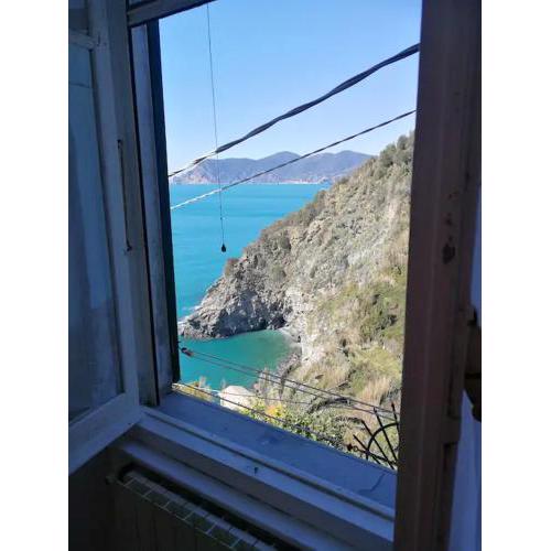 One bedroom appartement with wifi at Corniglia