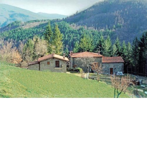 One bedroom house with shared pool furnished garden and wifi at Bibbiena