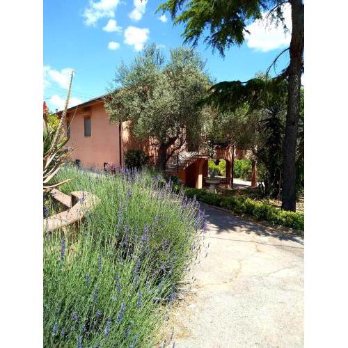 One bedroom villa with city view enclosed garden and wifi at Caltanissetta