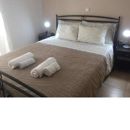 Open concept 1 bedroom apartment