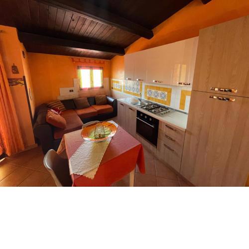 Orange House