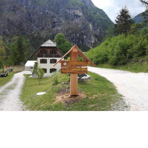 Organic Tourist Farm Pri Plajerju