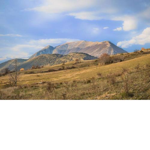 [Orso Bruno] Nature Relax - 20 minuti da Roccaraso
