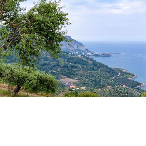 Orto Degli Ulivi