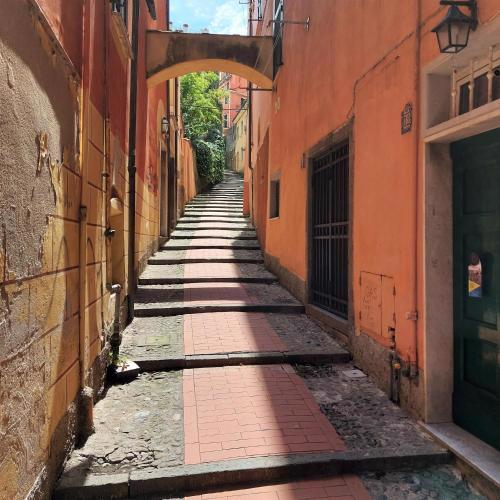 Orto D'Oria