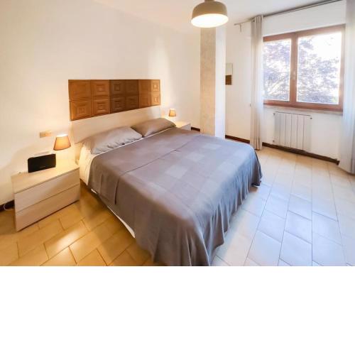 Ospedale Cisanello Bulls House