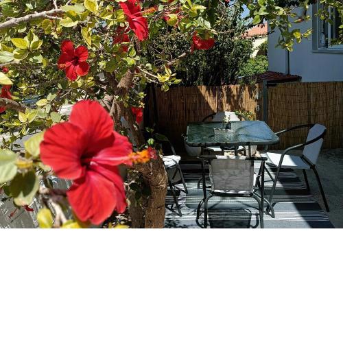 Ostria 2 Bedroom apartment near Falasarna + Balos