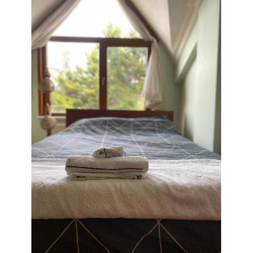 Otantik havalimanına yakın villa