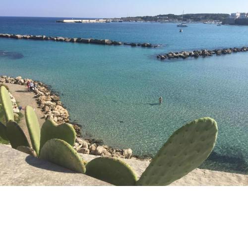 Otranto Appartamento sul mare con giardini