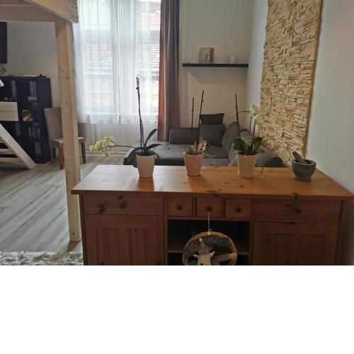 Otthonos, légkondicionált apartman
