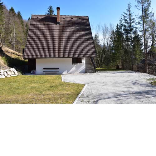 Our Forest House